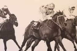 wayne-williams-Black-Caviar-2012-copy.jpg